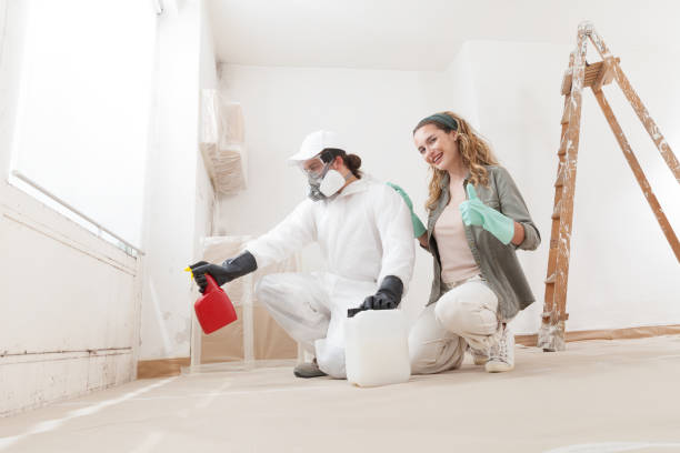 Best HVAC Mold Inspection and Cleaning  in South Whittier, CA